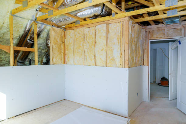 Best Insulation Repair Services  in Massanutten, VA