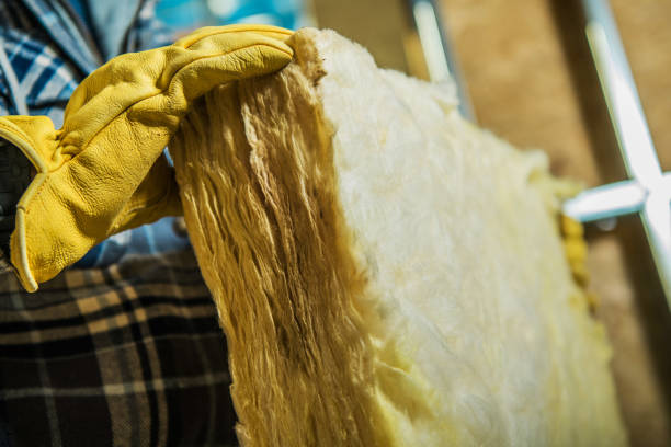 Best Professional Insulation Contractor  in Massanutten, VA