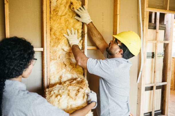 Best Insulation Replacement Services  in Massanutten, VA