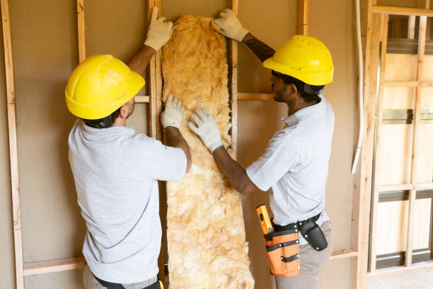 Best Cellulose Insulation  in Massanutten, VA